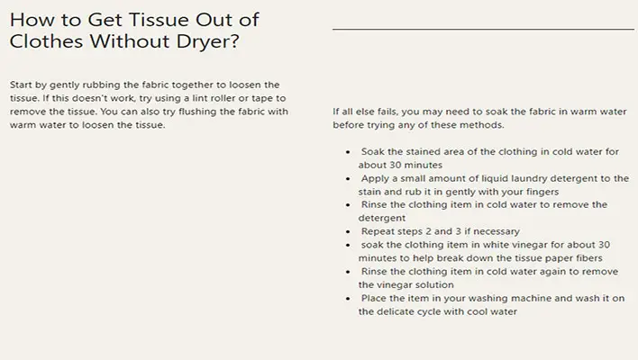 How-to-Get-Tissue-Out-of-Clothes-Without-Dryer