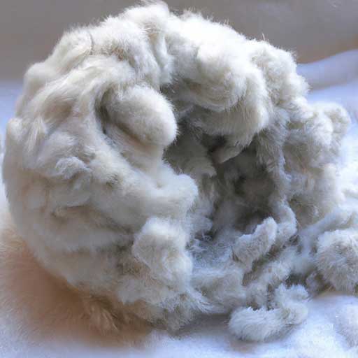 What Happens If You Wash Dry Clean Only Wool 