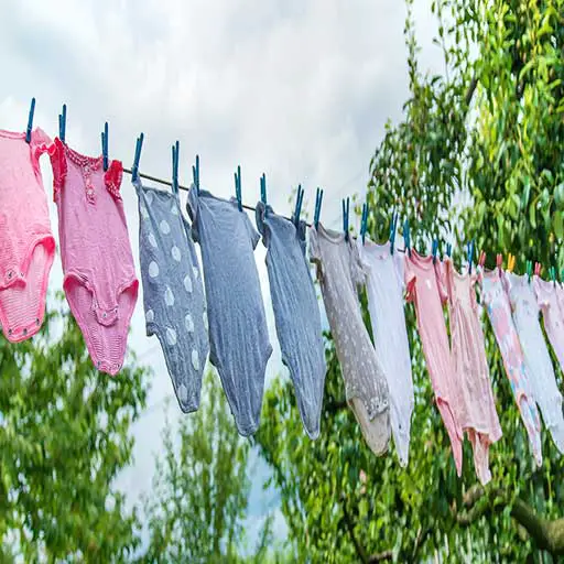 What States Have a Clothesline Ban