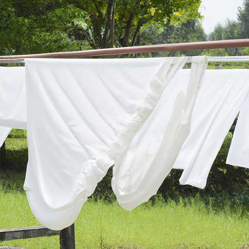 What Temperature to Wash White Clothes 