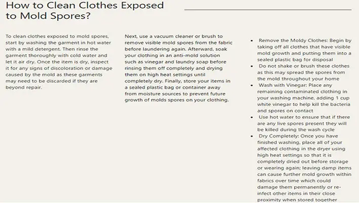 How-to-Clean-Clothes-Exposed-to-Mold-Spores