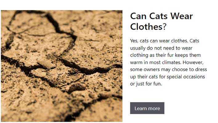 Can-Cats-Wear-Clothes