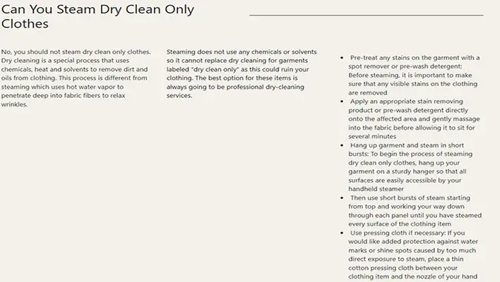 Can-You-Steam-Dry-Clean-Only-Clothes