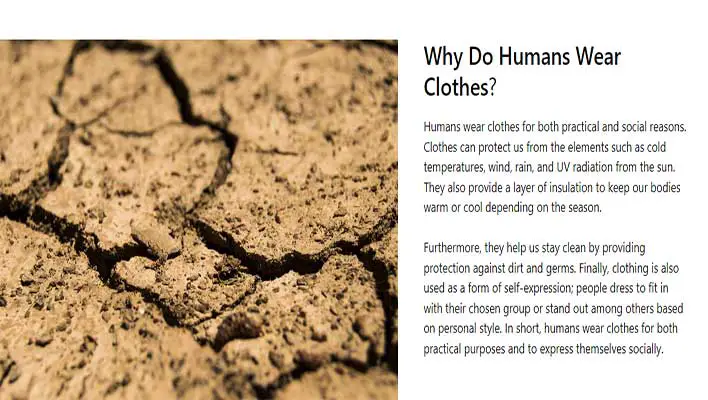 Why-Do-Humans-Wear-Clothes